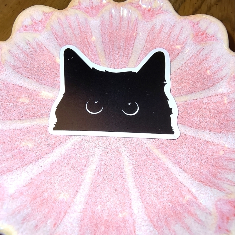 5/$10 black cute cat vinyl sticker bumper water bottle laptop decal white eyes